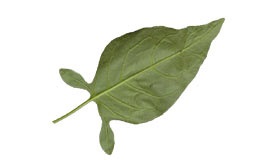 Robbanó lapot (mértékétől függően a felosztás) lap feldarabolása