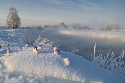 A történet a hó tehén, vagy vettem 2. hely a fotográfiai verseny, egy kezdő fotós és blog