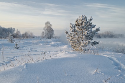 A történet a hó tehén, vagy vettem 2. hely a fotográfiai verseny, egy kezdő fotós és blog