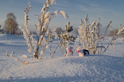 A történet a hó tehén, vagy vettem 2. hely a fotográfiai verseny, egy kezdő fotós és blog