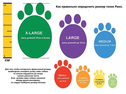 Gumicsizma kutyák Pawz (gumicsizma kutya) Gumicsizma kutyák Pawz