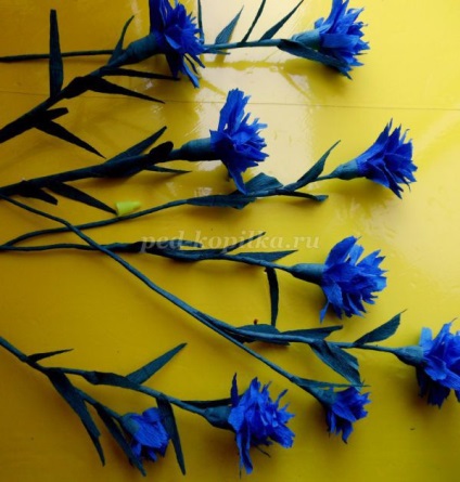Daisies és a búzavirág papír kezeddel (búzavirág) Daisies és a búzavirág papír saját kezűleg