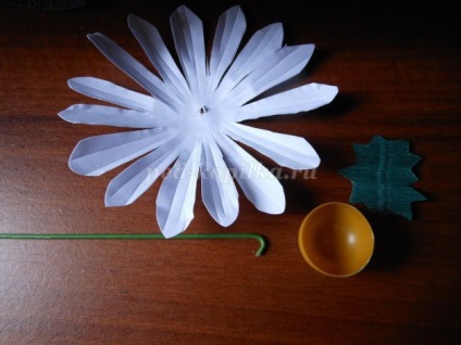 Daisies és a búzavirág papír kezeddel (búzavirág) Daisies és a búzavirág papír saját kezűleg