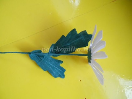Daisies és a búzavirág papír kezeddel (papír) Daisies és a búzavirág papír saját kezűleg