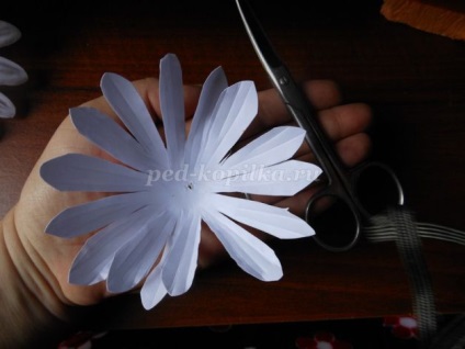 Daisies és a búzavirág papír kezeddel (kéz) Daisies és a búzavirág papír saját kezűleg