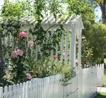 Rózsák a kertben és a ház körül 50 izgalmas ötleteket ihlet!