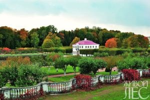 Garden a magyar stílus - online magazin „Living Forest”