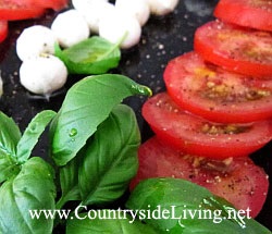 Paradicsom receptek fotó (recept saláta paradicsom uborka sajt Caprese Niçoise bolgár görög) Paradicsom, fotó receptek