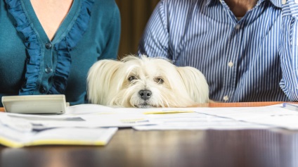 Családi botrány -, hogyan kell élni alatt és után a gyakorlati tanácsokat (élő) Családi botrány -, hogyan kell élni alatt és után a gyakorlati tanácsokat