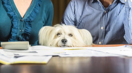 Családi botrány -, hogyan kell élni alatt és után a gyakorlati tanácsokat