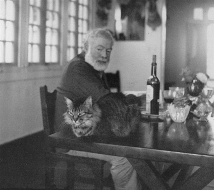 Hat orrú macskák Ernest Hemingway - farkú kerékpárok
