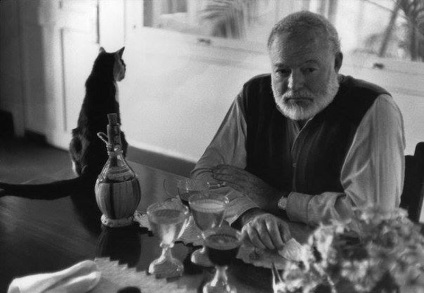 Hat orrú macskák Ernest Hemingway - farkú kerékpárok