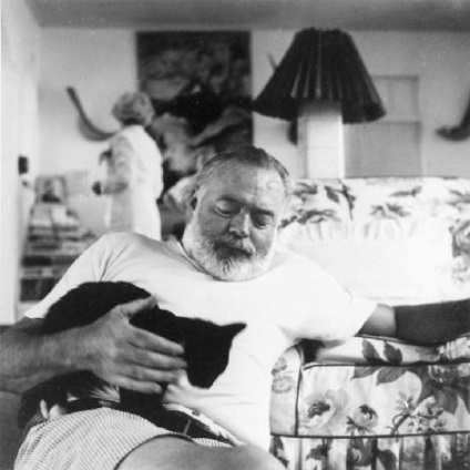 Hat orrú macskák Ernest Hemingway