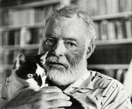 Hatujjú macska Hemingway