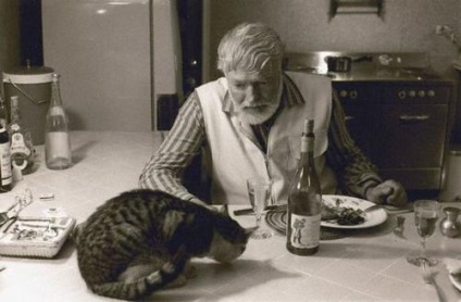 Hatujjú macska Hemingway