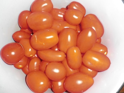 Stam paradicsomfajta nyílt terepen (nyitott) Stam fajták tomato szabadföldi
