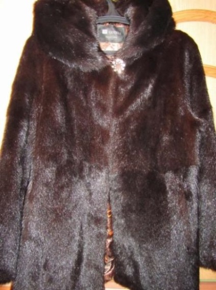 Coat of Mormota (59 fotó), mennyibe kerül, mongol mormota, nyírt, trapéz, fény, hő, vagy (Mormota) Coat of Mormota (59 fotó), mennyibe kerül, mongol mormota, nyírt, trapéz, fény, hő vagy