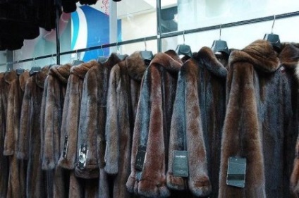 Coat of Mormota (59 fotó), mennyibe kerül, mongol mormota, nyírt, trapéz, fény, hő, vagy (sokkal) Coat of Mormota (59 fotó), mennyibe kerül, mongol mormota, nyírt, trapéz, fény, hő vagy