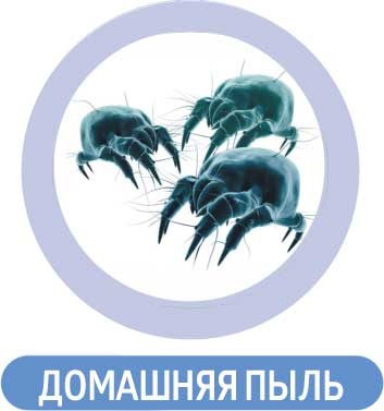 Tünetek és megelőzése allergia új gyógyszerek - Corporation szibériai egészség (tünetek) Tünetek és megelőzése allergia új gyógyszerek - Corporation szibériai egészségügyi