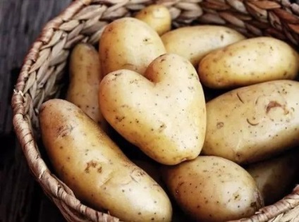 Mennyit tud tárolni burgonyát a hűtőbe tisztítani, és főtt (hűtőszekrényben) Mennyit tud tárolni burgonyát a hűtőbe megtisztított, főtt