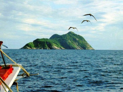 Halálos sziget Ilha da Queimada Grande, Brazília