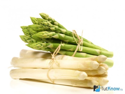 Asparagus előnyös tulajdonságok, kalória tartalma, összetétele és a károk