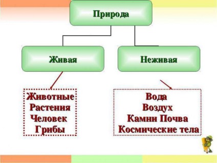 Kommunikációs élő és élettelen természet