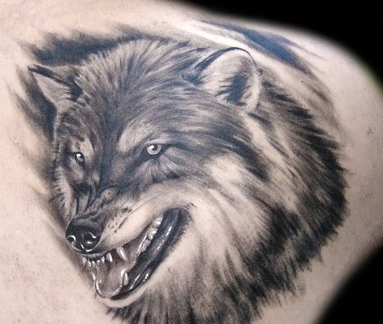 Татуювання вовка значення на зоні - портал