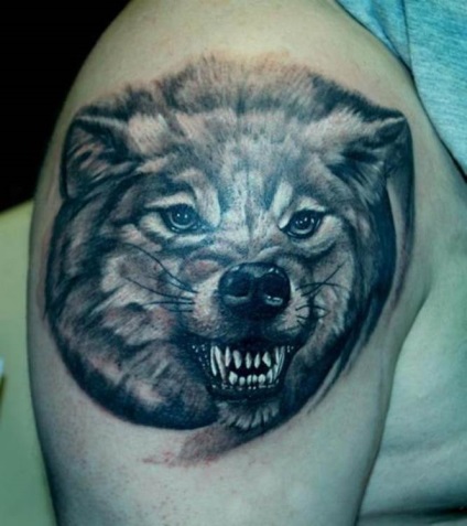 Tattoo farkas, farkas vigyorral értékek tetoválás 31 fotó