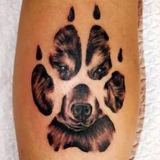 Tattoo farkas, farkas vigyorral értékek tetoválás 31 fotó