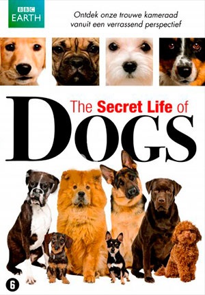 Secret Life of the Dog (2010, hd) - néz online dokumentumfilm bbc szabad jó