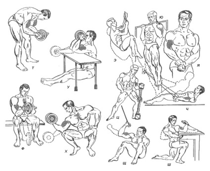 Gyakorlatok fejlesztés a bicepsz (bicepsz) Gyakorlatok fejlesztés a bicepsz