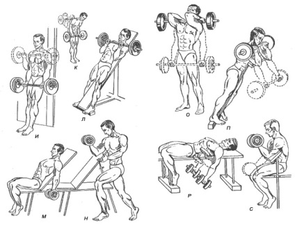 Gyakorlatok fejlesztés a bicepsz (bicepsz) Gyakorlatok fejlesztés a bicepsz