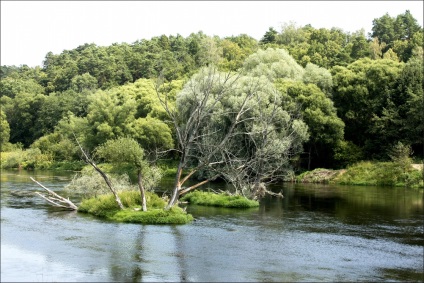 Vassilyevskoe - hétvégi külvárosban