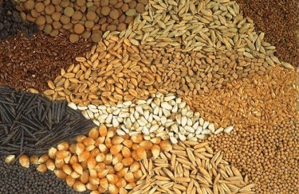 Seed Therapy Veda, vagy kezelésére gabona (interakció megfelelőség zónák) Seed Therapy Veda, vagy a kezelés a gabona
