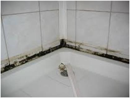 Szellőzés a WC és fürdőszoba a lakásban biztosít az egészségügyi lakosok (szellőztetés a WC és fürdőszoba a lakásban) Szellőzés a WC és fürdőszoba a lakásban lakók nyújt egészségügyi