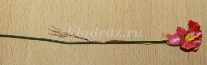 Tavaszi virágok saját kezűleg (Y.) Tavaszi virágok saját kezűleg