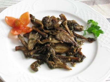 Oyster hasznos tulajdonságok és káros gombák, otthon főzés (gomba) Oyster hasznos tulajdonságok és káros gombák, főzés otthon