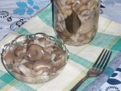Oyster hasznos tulajdonságok és káros gombák, otthon főzés (hasznos) Oyster hasznos tulajdonságok és káros gombák, főzés otthon