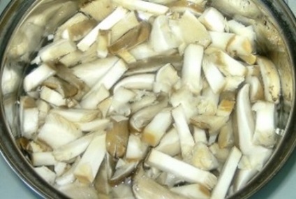 Oyster hasznos tulajdonságok és káros gombák, főzés otthon