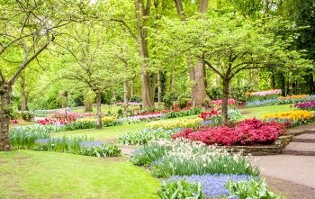 Tavaszi képek, tavaszi háttérképek letölthető gyönyörű fotó tapéta szélesvásznú