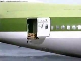 Itt van, hogy repülni a tengeren; )) - videó, néz online, töltse le a videót, hogy ez hogyan kell repülni a tenger (légy) Itt van, hogy repülni a tengeren; )) - videó, néz online, töltse le a videót itt, hogyan kell repülni a tengeren