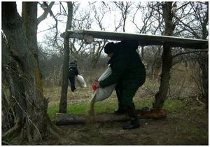 Védelme és megőrzése madarak - túlélés a vad és extrém helyzetekben (védelem a madarak) Védelem és madárvédelem - túlélés a vad és extrém helyzetekben