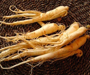 Ginseng hasznos tulajdonságai és ellenjavallata haj