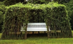 Élő lugas fák, hogyan lehet létrehozni egy zöld pihenő a kertben saját kezűleg