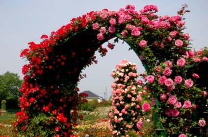 Élő kerti bútorok saját kezűleg, vagy a Garden of Eden tartományban néhány száz, nasha besedka (tovább) Élő kerti bútorok saját kezűleg, vagy a Garden of Eden tartományban néhány száz, nasha besedka