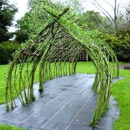 Élő kerti bútorok saját kezűleg, vagy a Garden of Eden tartományban néhány száz, nasha besedka (élő pavilon kezüket) Élő kerti bútorok saját kezűleg, vagy a Garden of Eden tartományban néhány száz, nasha besedka
