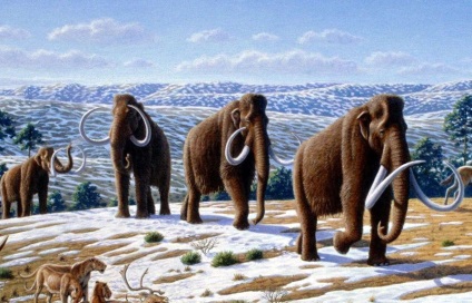 állati mamut