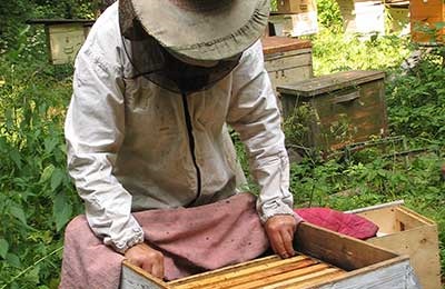 méhészeti kezelés a duzzadt lábízületek kezelése