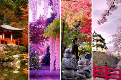 5 ok, hogy látogassa meg Japánban